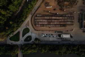 Suzano X Klabin: BBA reduz projeções, mas tem compra para ações; qual é a preferida?