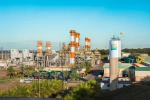 Grupo Delta Energia capta R$ 200 milhões para impulsionar termelétrica com gás natural hoje