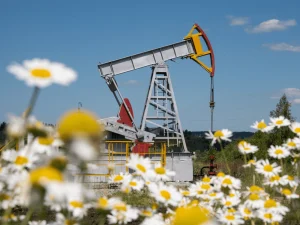 Opep+ mantém cota de produção de petróleo para 2026 e mecanismo de capacidade