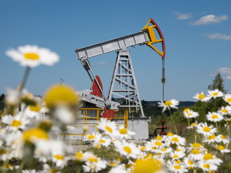 Opep+ mantém cota de produção de petróleo para 2026 e mecanismo de capacidade