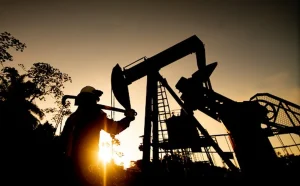 Brava compra ativos por US$ 450 mi e cai 5% agora