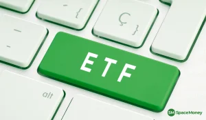Tweedy Browne Insider Value ETF supera mercado com 30% agora sem Big Techs