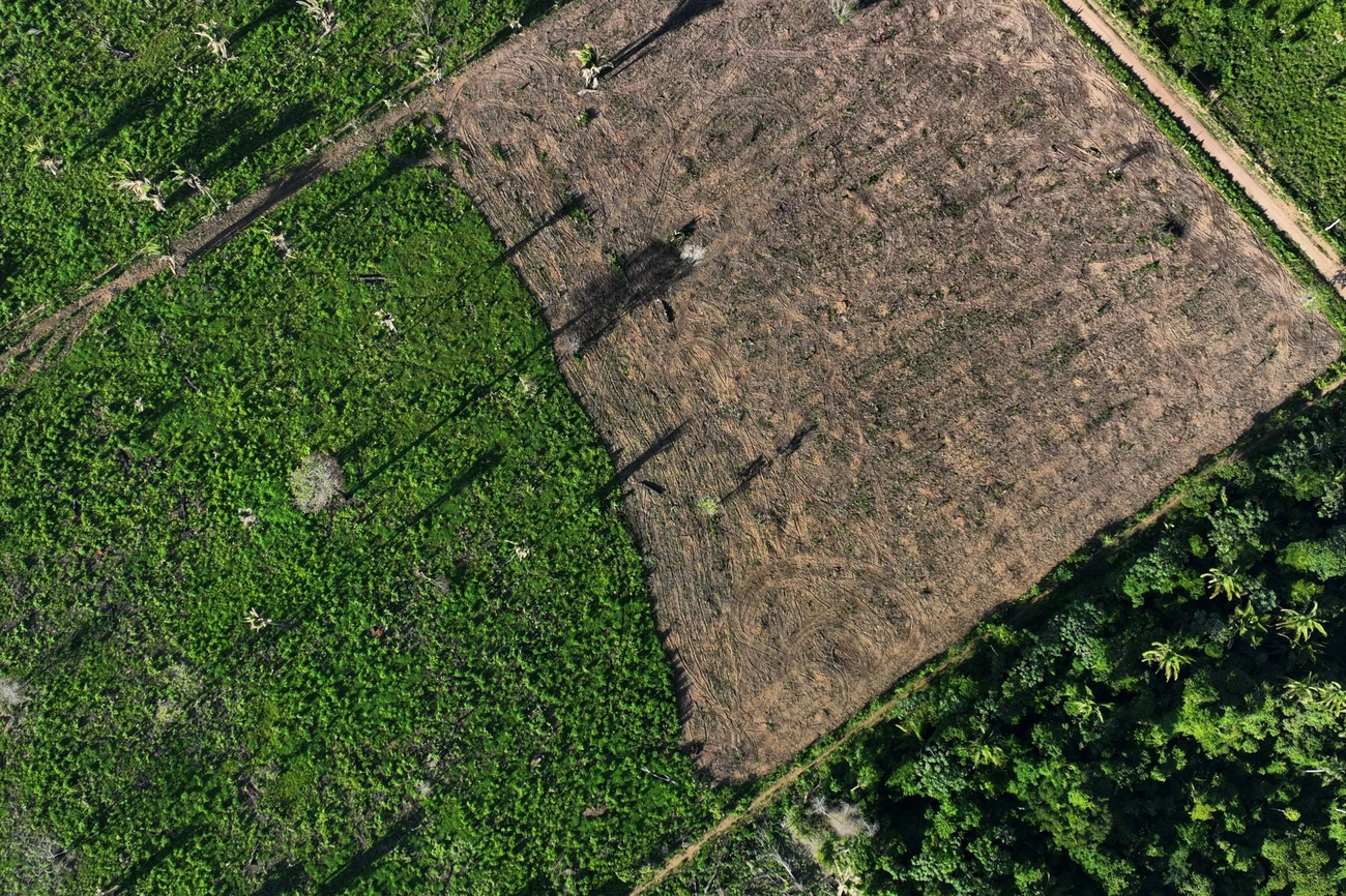 Fachin decide remoção de invasores da Terra Indígena Cachoeira Seca agora