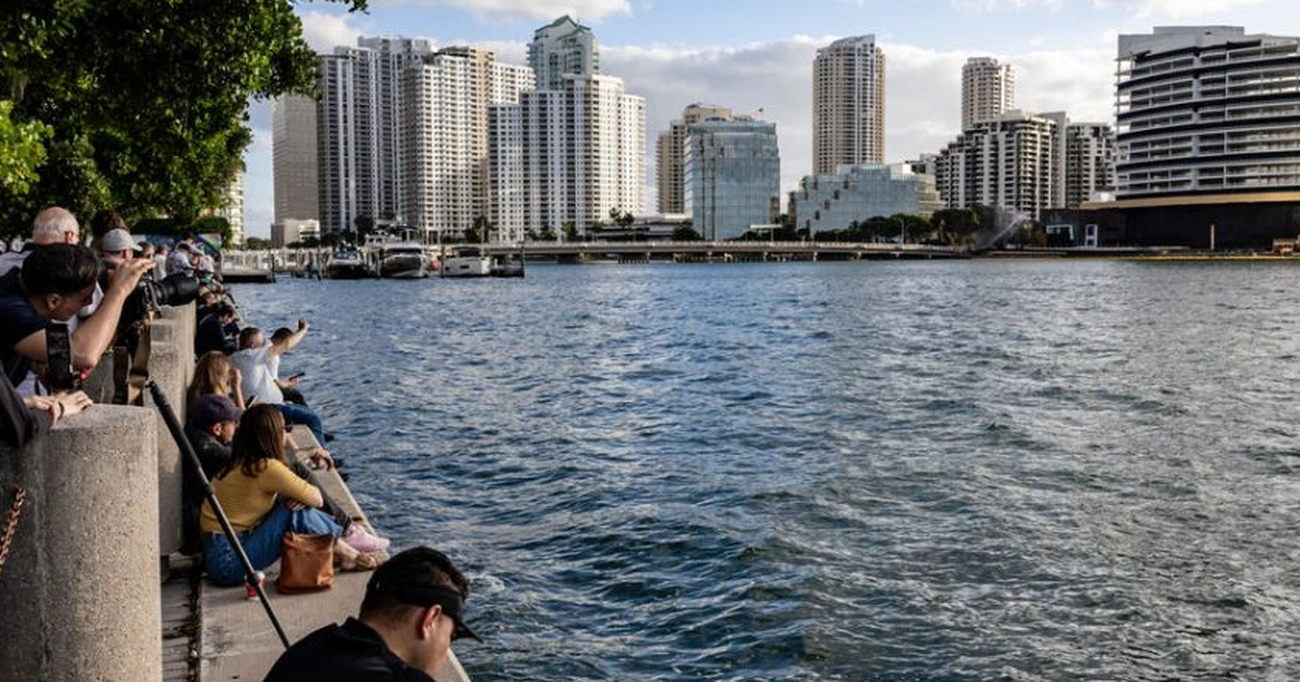Link School of Business chega a Miami agora com educação de alta qualidade